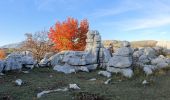 Tour Wandern Courmes - Grand tour du plateau de Saint Barnabé - Photo 8