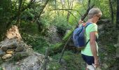 Tocht Stappen Bagnols-en-Forêt - la Verrerie, le vieux moulin - Photo 1