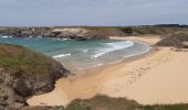 Excursión Senderismo Sauzon - pointe des poulains - Photo 5