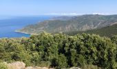 Trail Walking Pino - Randonnée Cap Corse  - Photo 3