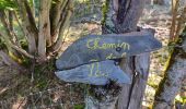 Trail Walking Ax-les-Thermes - Le chemin de la Ramille - Photo 9