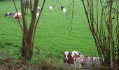 Tocht Stappen Comblain-au-Pont - 2021-04-04_15h31m49_Cirkwi-Autour_de_Comblain-au-Pont_-_Promenade_9___Grotte_-_Raideux_-_Anthisnes_-_Les_Stepennes_-_Géromont - Photo 9