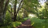 Tour Wandern Fraisse-sur-Agout - Lac de Vésoles - Photo 5