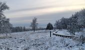 Trail Walking Spa - fagne de malchamp sous les premières neiges de 2025 - Photo 11