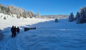 Randonnée Raquettes à neige Haut Valromey - la cua - Photo 1