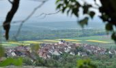 Tour Zu Fuß Sachsenheim - Weitblickweg Hohenhaslach - Photo 4