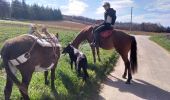 Trail Donkey back riding Livron-sur-Drôme - Abiche toundra - Photo 12