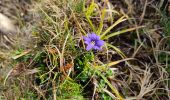 Tour Wandern Unknown - Le pic de Savis - Photo 6