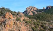 Excursión Senderismo Saint-Raphaël - Pk Col de Belle Barbe - Ravin Mal Infernet - Pic du Cap Roux - Grotte Saint Honorat - Ravin des Lentisques - Photo 15