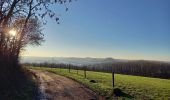 Randonnée Marche Liège - Boucle Bois-de-Breux les Houlpays - Photo 2