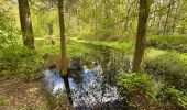 Trail Walking Breda - Breda Mastbosch 24,8 km - Photo 9