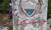 Tour Wandern Rochejean - Mont d'or  - Photo 3