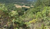 Percorso Marcia Saillans - Grande boucle au départ de Saillans - Photo 4