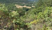 Tocht Stappen Saillans - Grande boucle au départ de Saillans - Photo 4