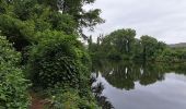 Tour Wandern Arcambal - Étape 5 Les Mazuts Cahen - Photo 12