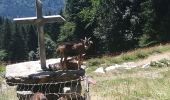 Randonnée Marche Sixt-Fer-à-Cheval - la tête de verreu - Photo 1