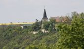 Tocht Te voet Freyburg (Unstrut) - Schweigenberg Rundweg - Photo 3