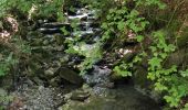 Excursión Senderismo Arâches-la-Frasse - randonnée en forêt, les Carroz, Araches, la Frasse - Photo 16