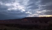 Trail Walking Riemst - montagne St-Pierre / St Pietersberg - Photo 2