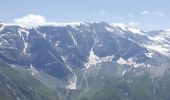 Trail Walking Pralognan-la-Vanoise - Pralognan - le petit mont Blanc a - Photo 6