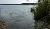 Trail On foot Rheinsberg - Klarwasserse(h)en - Photo 6