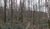 Trail Walking Ittre - Virginal  - Photo 3