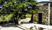 Randonnée A pied Δημοτική Ενότητα Αχαρνών - Καταφύγιο Φλαμπούρι - Μακρυχώραφο Κατσιμιδίου - Photo 4