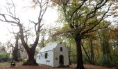 Trail Walking Braine-le-Château - #201113 - Braine-le-Château, Huit Drèves, l'Ermitage et Bois de Clabecq - Photo 5