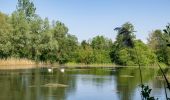 Percorso A piedi Höxter - Erlesene Natur - Dem Wasserdrachen auf der Spur - Photo 5