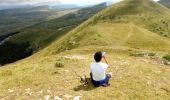 Tour Wandern Bouvante - Serre Montué ( petit et grand sommet) - Photo 6