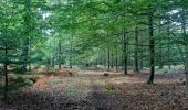 Tour Wandern Spa - petite balade autour de l aérodrome de Malchamps  - Photo 2