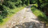 Trail Walking Metzeral - lac de schiessrothried par vallée de la wormsa  - Photo 10