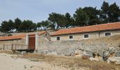 Percorso Marcia Ollioules - Gros Cerveau - Ollioules - Photo 3