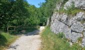 Trail Walking Foncine-le-Bas - Foncines-le-Bas, du viaduc des Douanets à  la cascade du Bief de la Ruine. - Photo 5