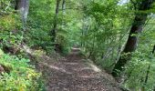 Trail Walking Theux - Hodbomont 24 km - Photo 5