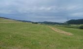 Tocht Stappen Nanchez - Les tourbières de Nancheza - Photo 4