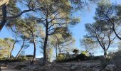Trail Walking Aix-en-Provence - Randonnée des barrages Zola et Bimont - Photo 12