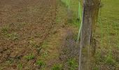 Tocht Stappen Clermont-Soubiran - Coteaux depuis maison Roiatti  - Photo 2