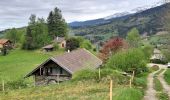 Tour Wandern La Combe-de-Lancey - Col du Pré du Molard - Photo 11