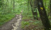 Tocht Stappen Les Granges-le-Roi - Forêt domaniale de Dourdan  - Photo 1