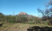 Tour Wandern Roquebrune-sur-Argens - Rocher de Roquebrune sur Argens-23-02-22 - Photo 4