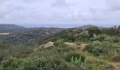 Trail Walking Ramatuelle - Col de Collebasse direction piste de la tourraque piste des Brouis - Photo 10