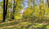 Percorso Marcia Compiègne - en forêt de Compiègne_43_le Petit Octogone et vers la Faisanderie - Photo 4