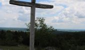 Tour Zu Fuß Harburg (Schwaben) - Bock-Rundweg - Photo 8