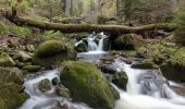 Tour Zu Fuß Ilsenburg - Ilsenburg - Plessenburg - Darlingerode - Photo 2