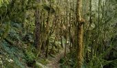 Tour Wandern Capoulet-et-Junac - Le Vicdessos par Illié - Photo 19