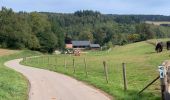 Trail Walking Préizerdaul - Bettborn  - Photo 1
