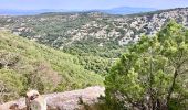 Excursión Ruta Cheval-Blanc - Vidauque-Aires de Bedoin-Aiguille-17082023 - Photo 3