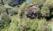 Tocht Stappen São Roque do Faial - Le chaudron vert  - Photo 5