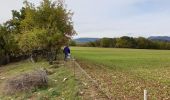 Tour Wandern Chabestan - Champignons Chabestan - Photo 3